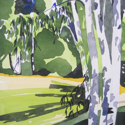 Eucalyptus watercolour